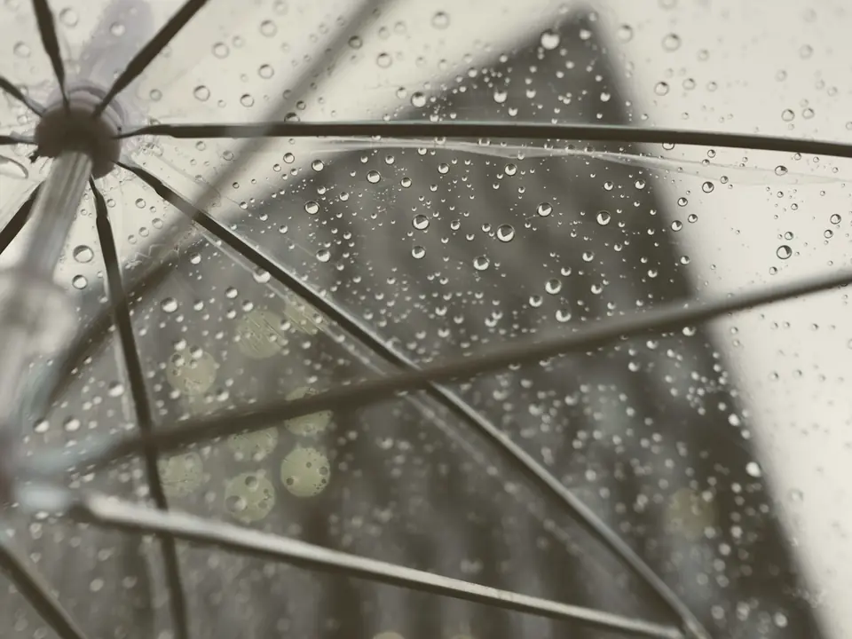 Raindrops on a clear umbrella